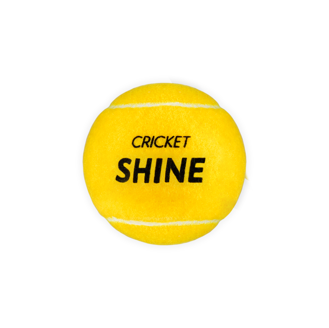 Shine Cricket Ball 3Pk