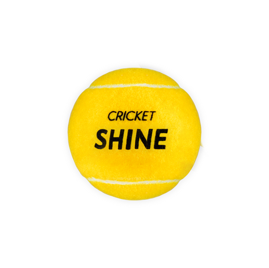 Shine Cricket Ball 3Pk